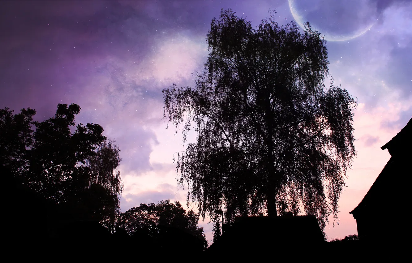 Фото обои небо, деревья, пейзаж, ночь, дом, фон, дерево, луна