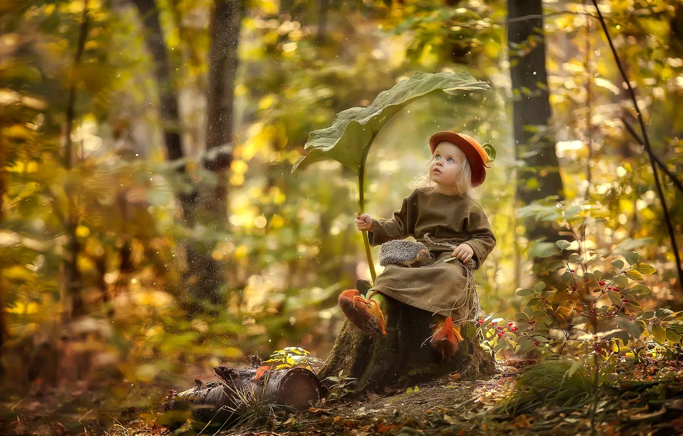 Фото обои лес, лист, пень, девочка, гном, ёжик