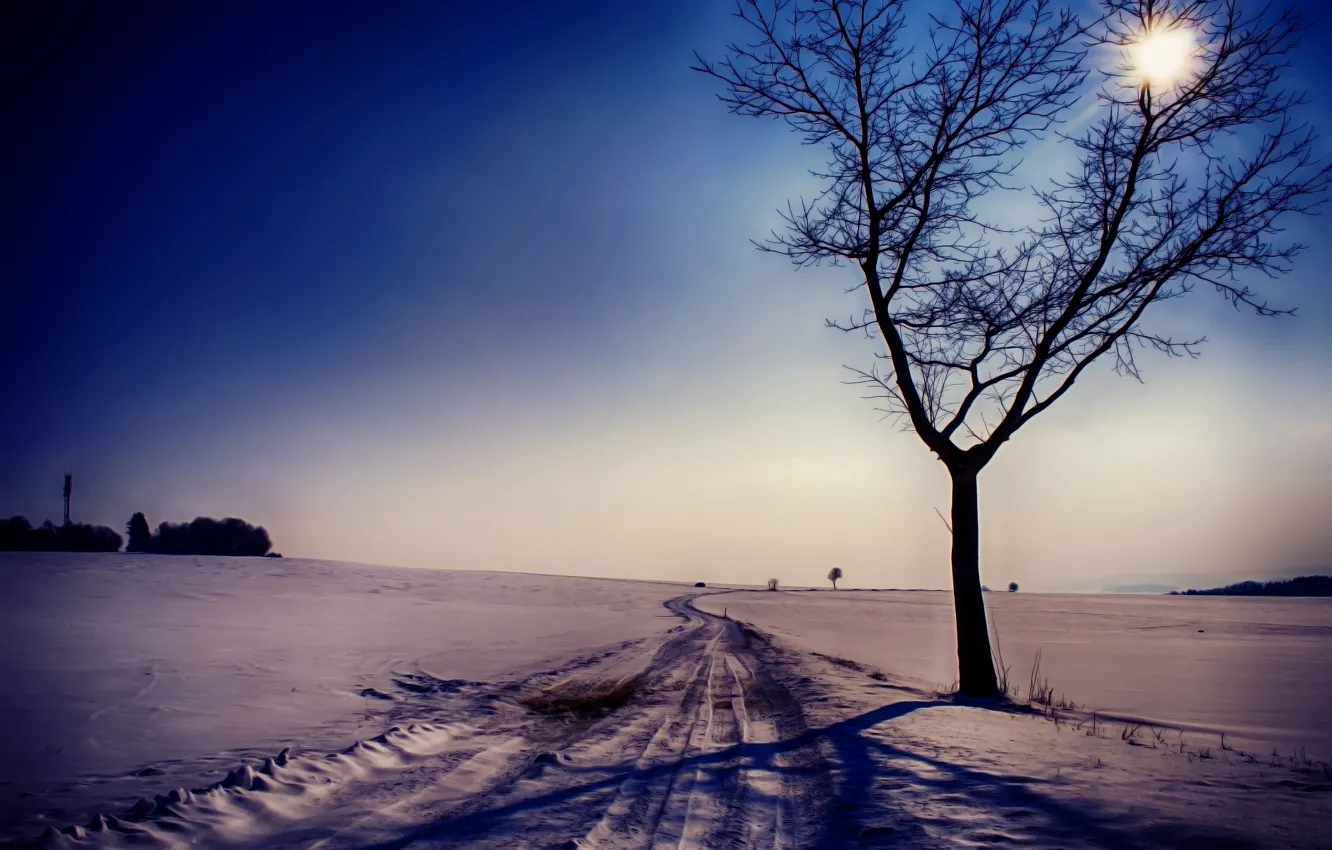 Фото обои зима, дорога, снег, пейзаж, дерево