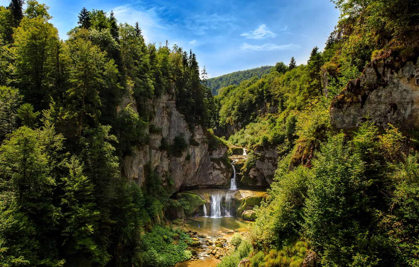 Фото обои зелень, лес, солнце, деревья, скалы, водопад