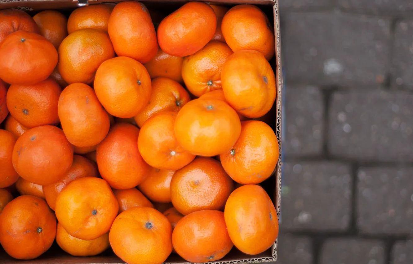 Фото обои фрукты, оранжевые, мандарины