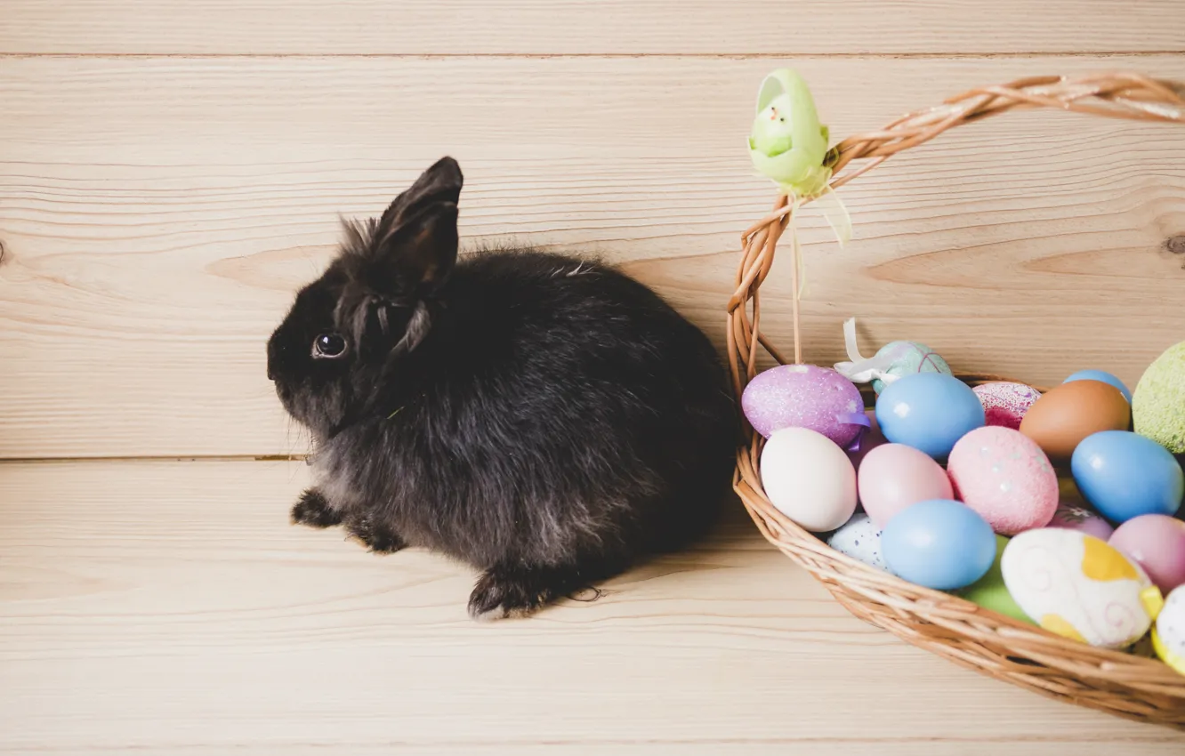 Фото обои Кролик, Пасха, Яйца, Корзина, Праздник