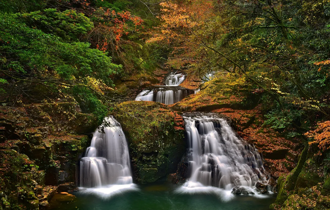 Фото обои осень, лес, деревья, Япония, Japan, водопады, каскад, Набари