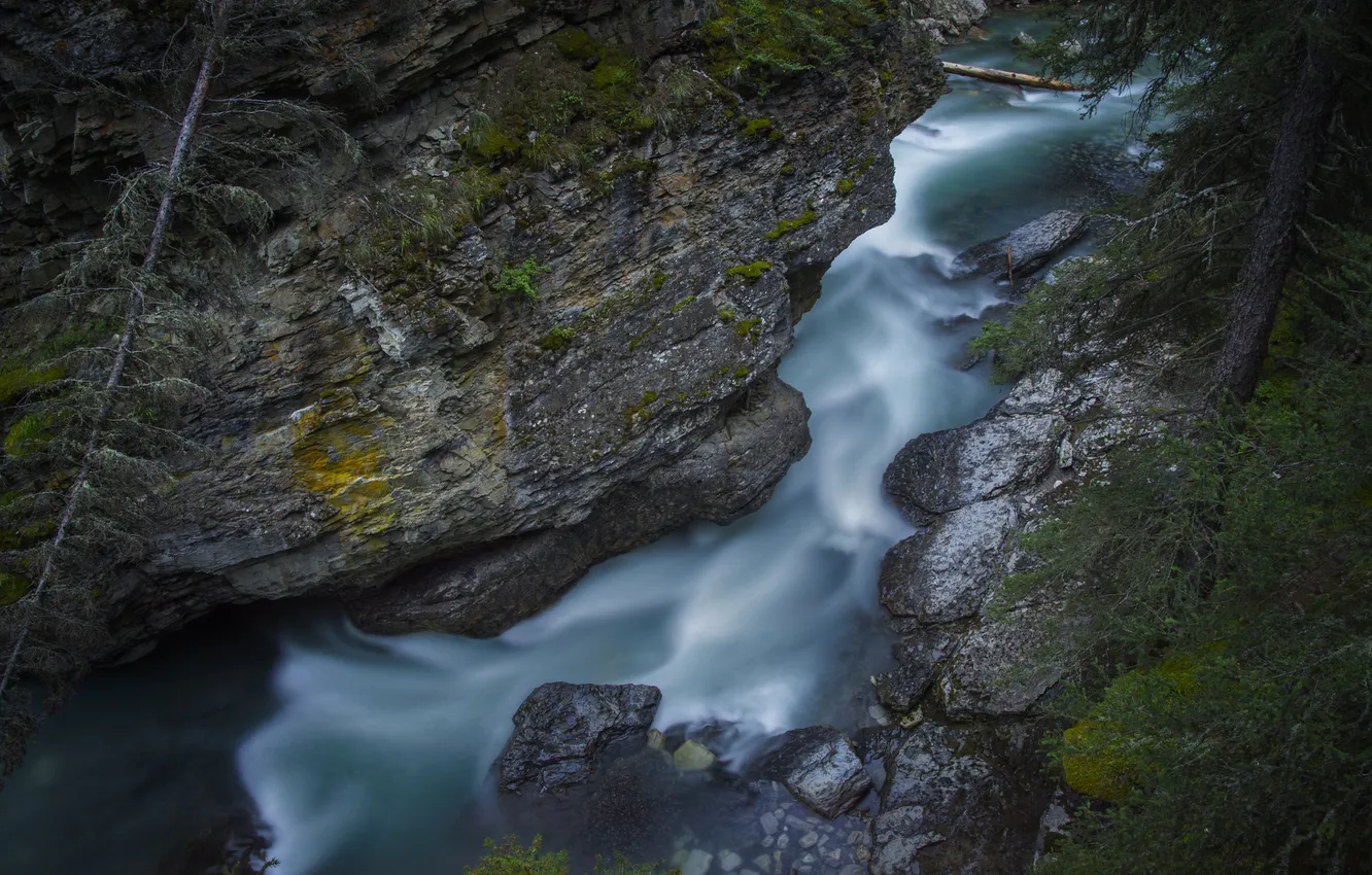 Фото обои лес, деревья, пейзаж, природа, река, скалы, водопад