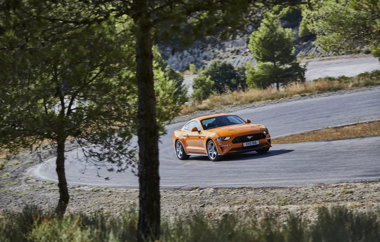 Фото обои деревья, оранжевый, Ford, поворот, 2018, фастбэк, Mustang GT 5.0