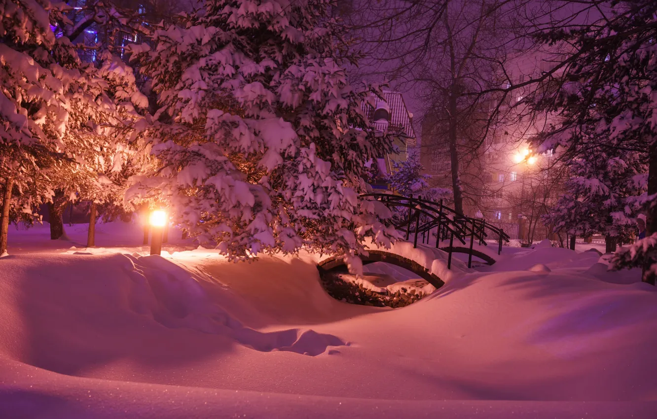 Фото обои зима, снег, деревья, природа, парк, вечер, освещение, фонари