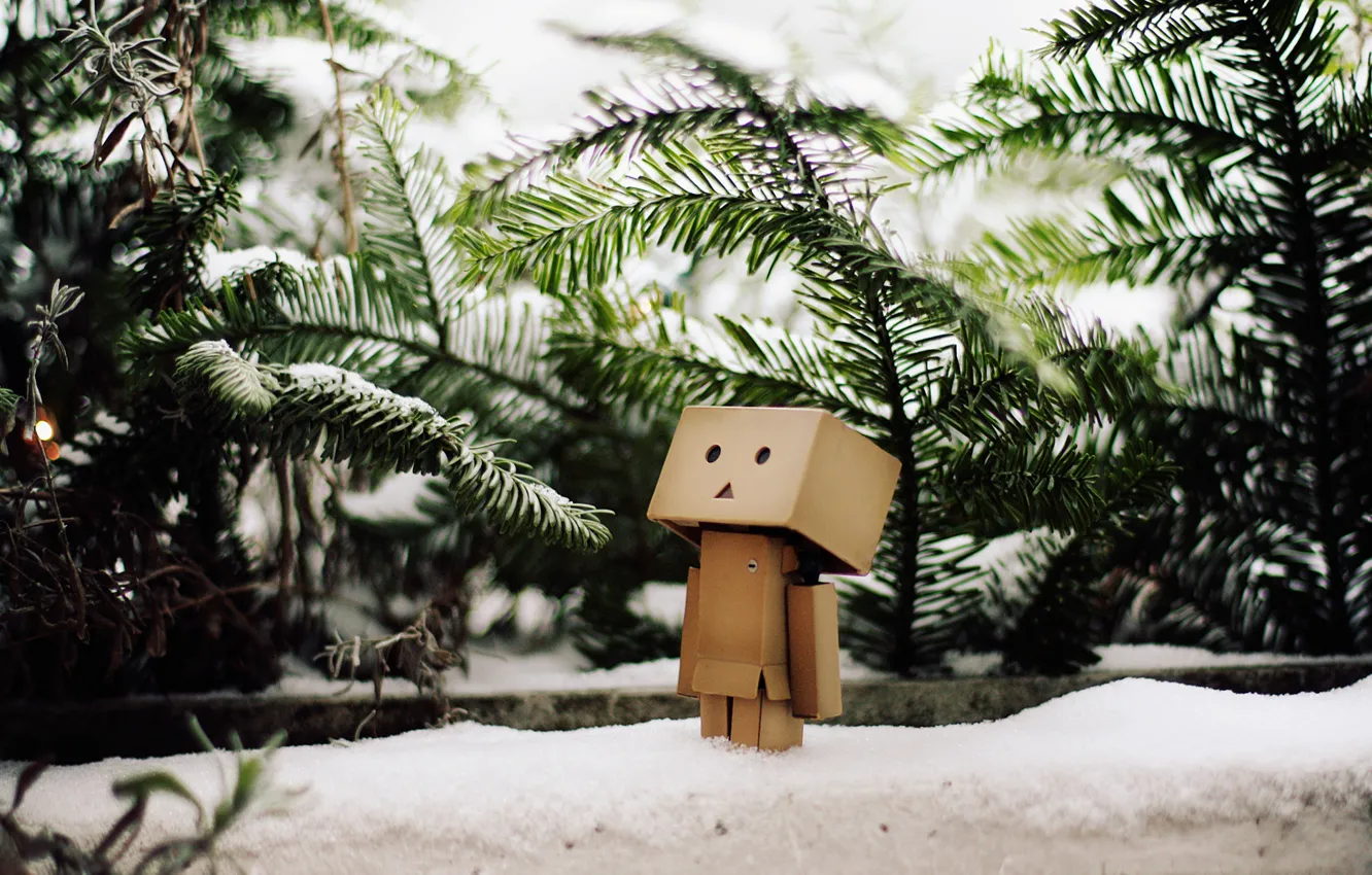 Фото обои зима, снег, ветви, елки, danbo, данбо