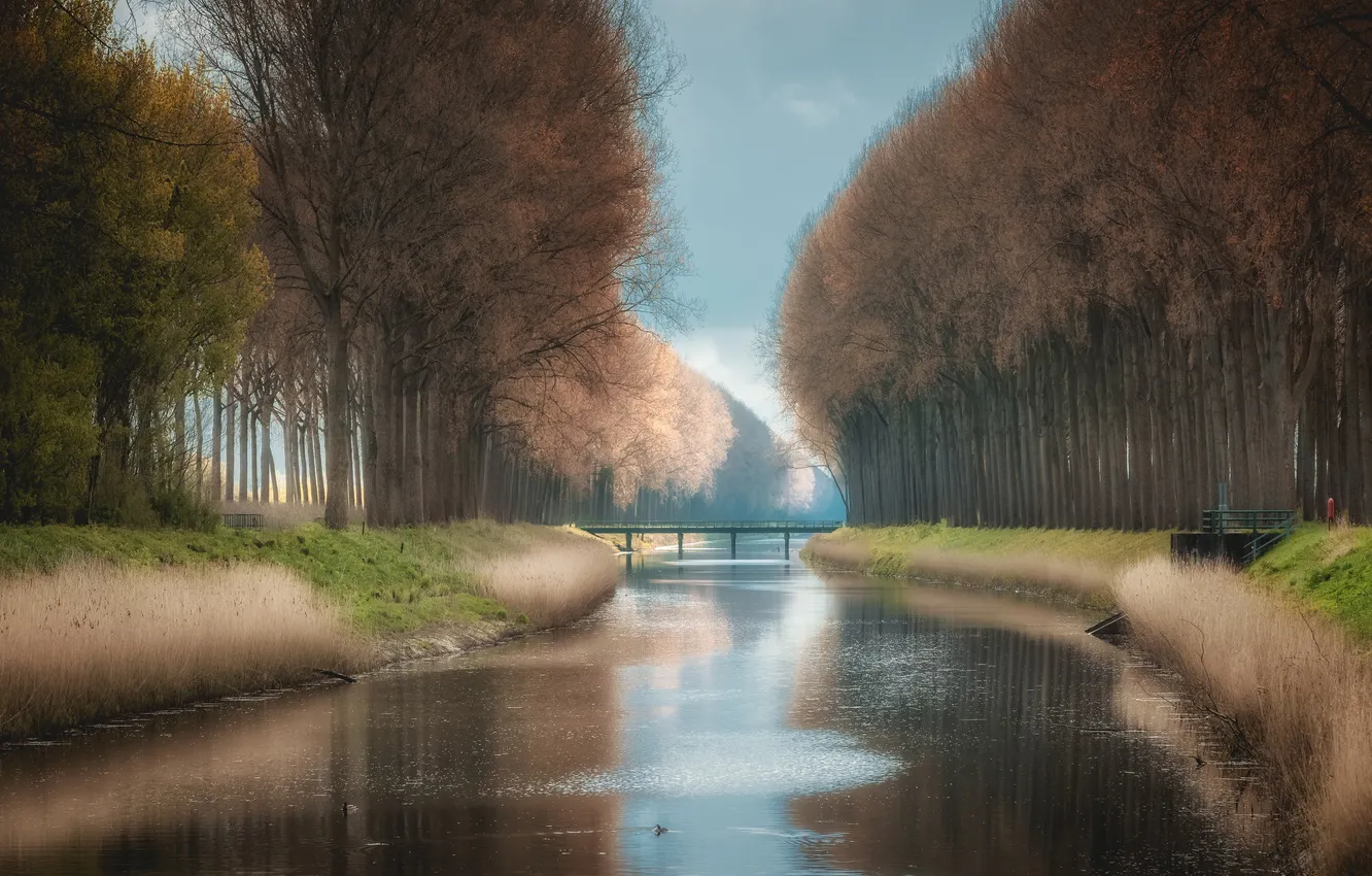 Фото обои природа, город, Damme Canal