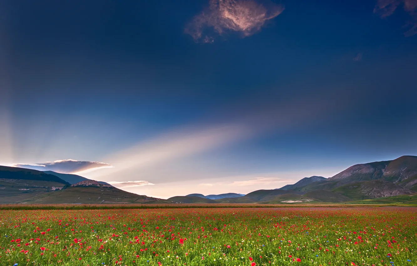 Фото обои поле, небо, свет, маки, облако, Италия, Умбрия