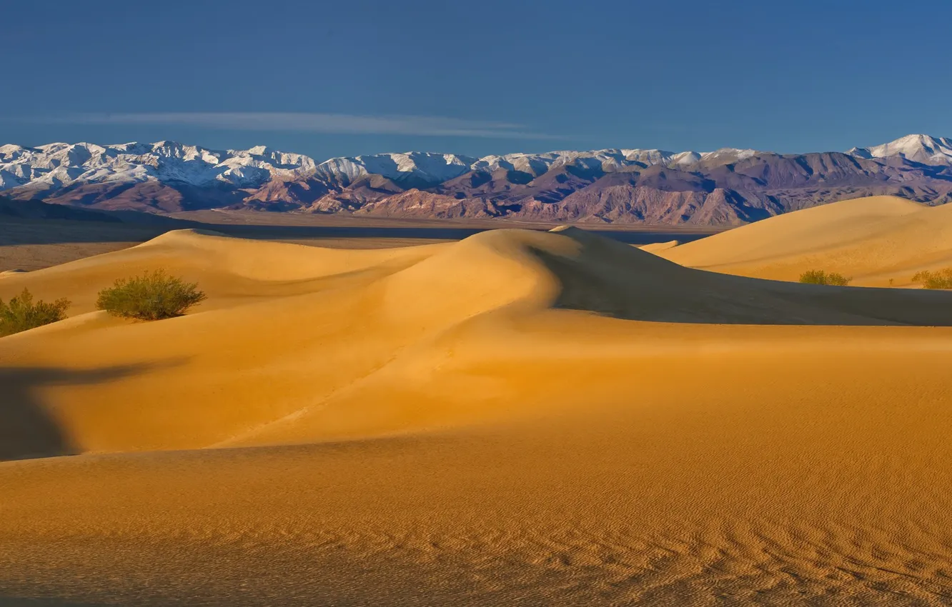 Фото обои пустыня, дюны, Калифорния, США