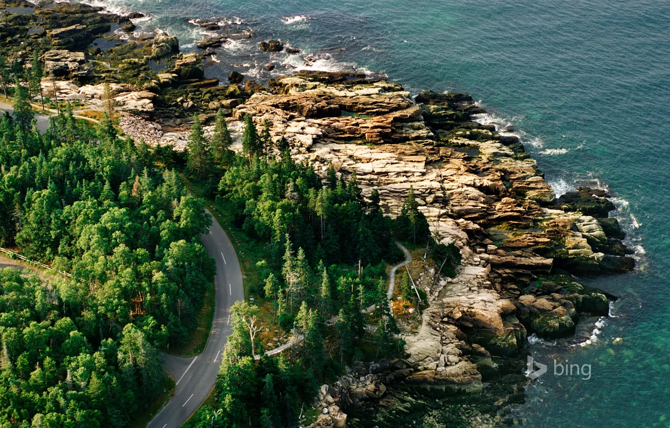 Фото обои дорога, море, скалы, берег, США, Национальный парк Акадия, штат Мэн