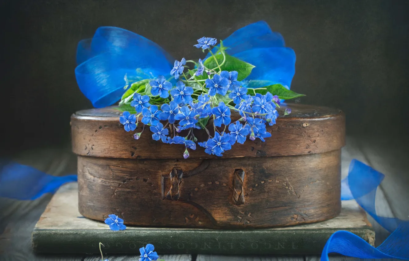 Фото обои цветы, голубые, шкатулка, натюрморт, бант, туесок, бруннера