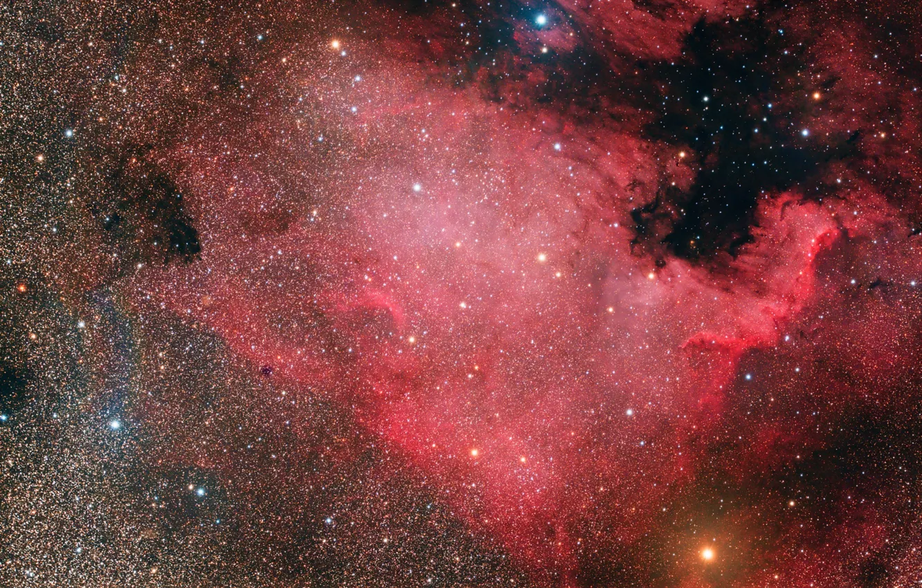 Фото обои Nebula, North America, NGC7000