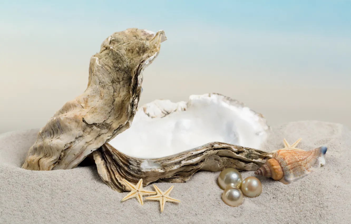 Фото обои песок, ракушка, жемчуг, морская звезда, sunshine, beach, sea, sand
