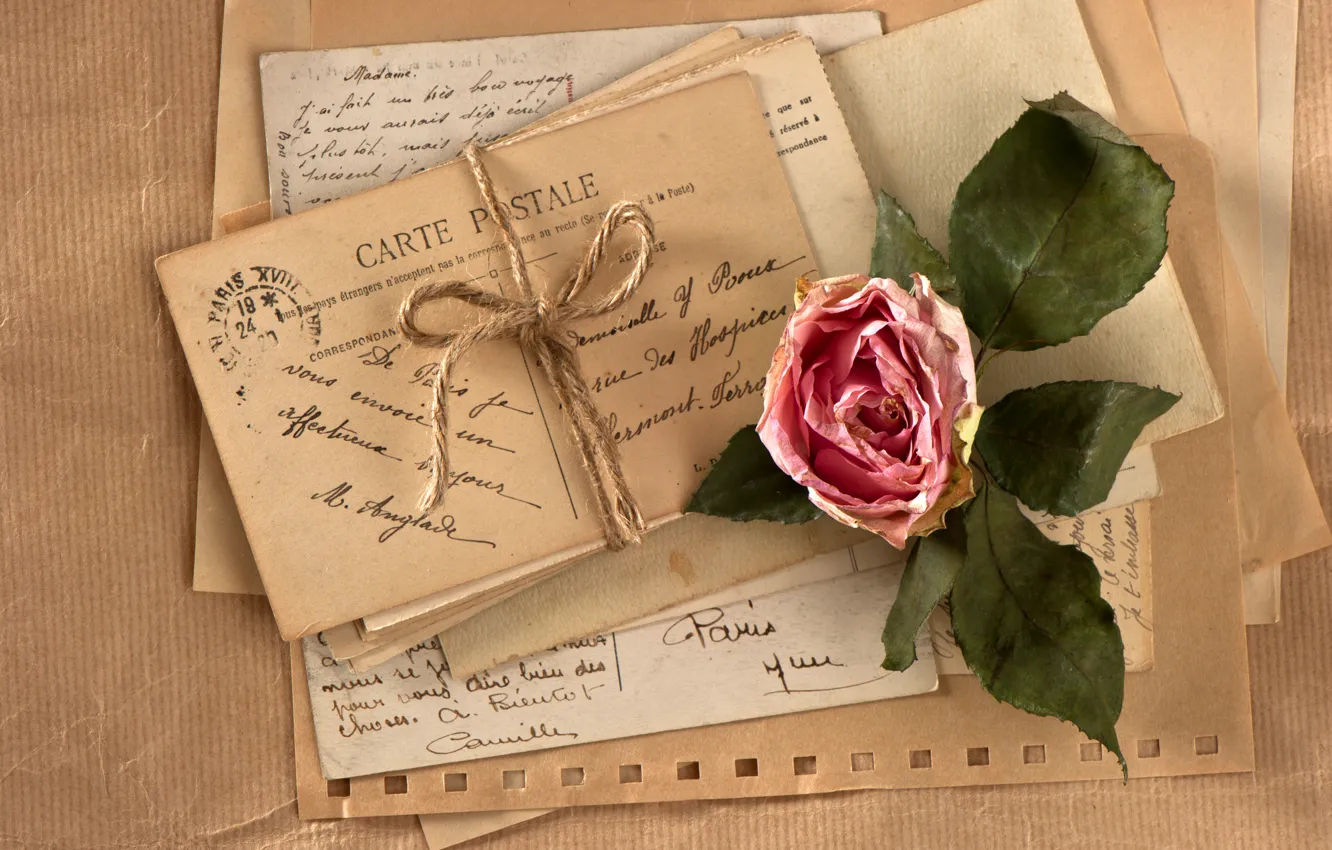 Фото обои цветок, ретро, роза, vintage, верёвка, винтаж, письма, открытки