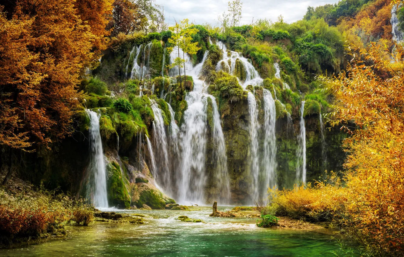 Фото обои деревья, водопад, Хорватия, Плитвицкие озера