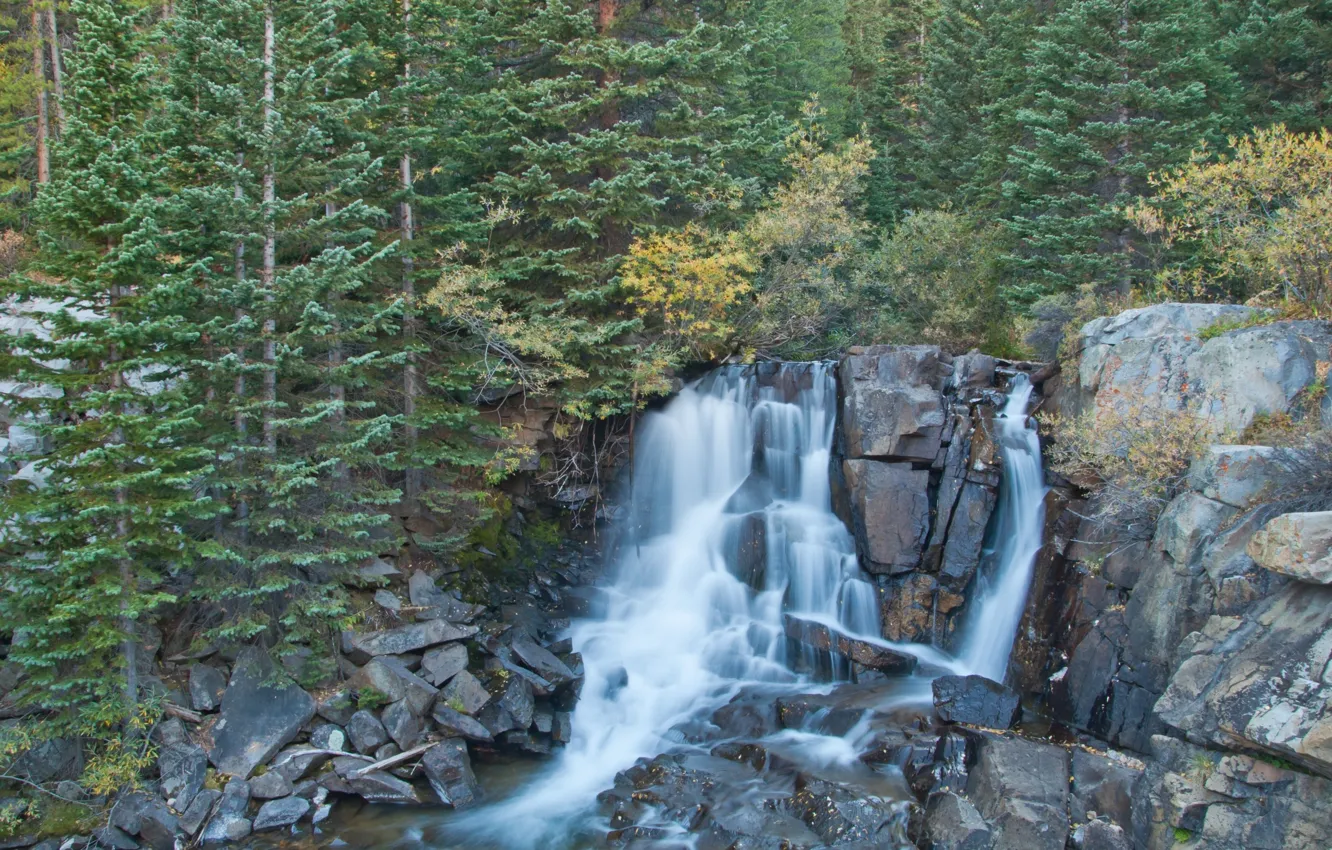 Фото обои лес, деревья, скалы, водопад, Boulder Falls