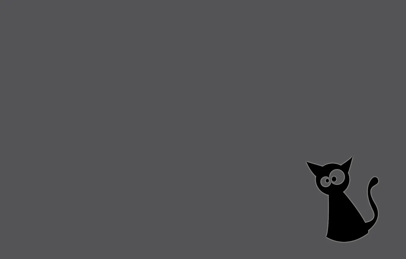 Фото обои кот, серый фон, черный кот