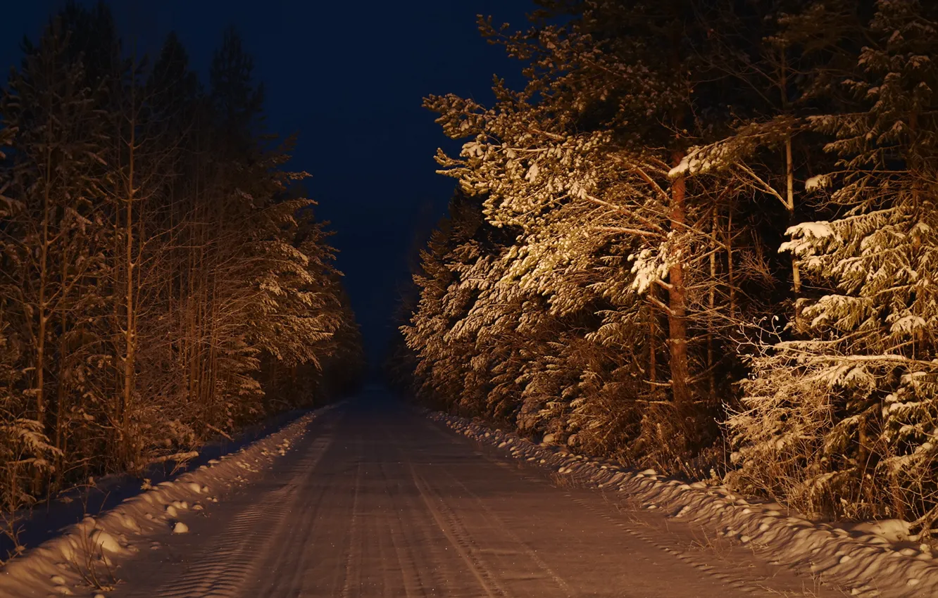 Фото обои дорога, лес, ночь