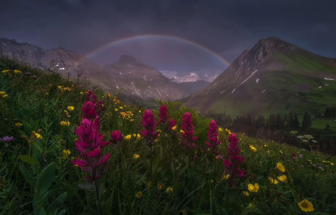 Фото обои лето, цветы, горы, радуга, весна, после дождя