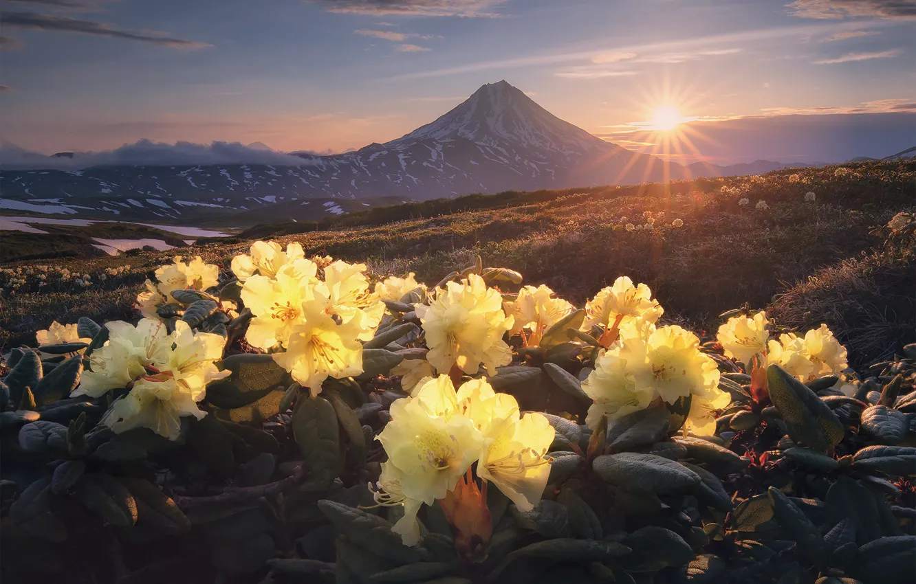 Фото обои солнце, лучи, пейзаж, цветы, горы, природа, утро, вулкан