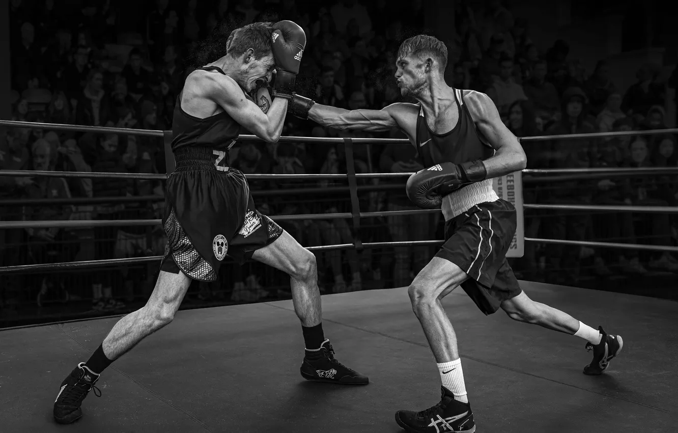 Фото обои Black White, Eddie Leach, Right cross
