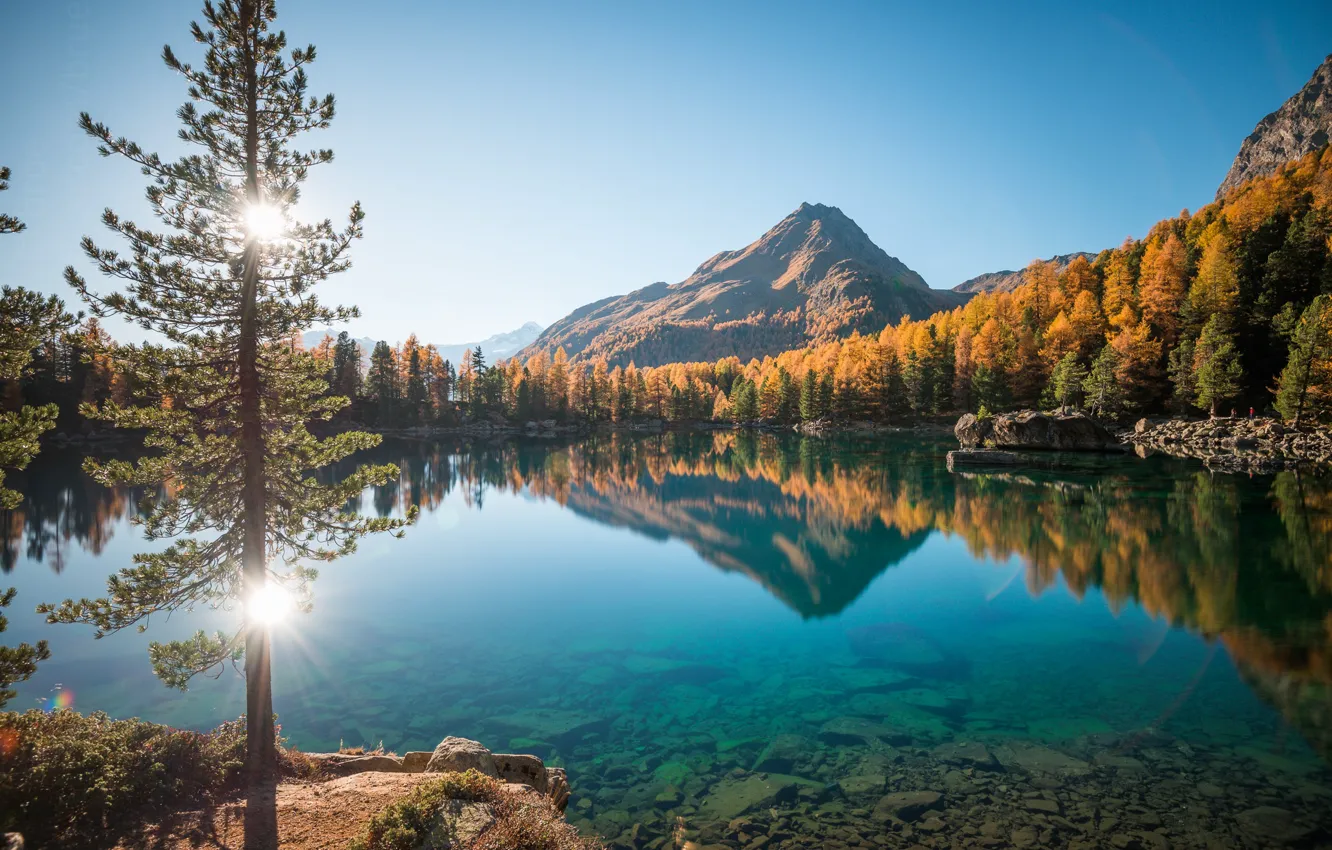Фото обои осень, лес, солнце, пейзаж, горы, природа, озеро, дерево
