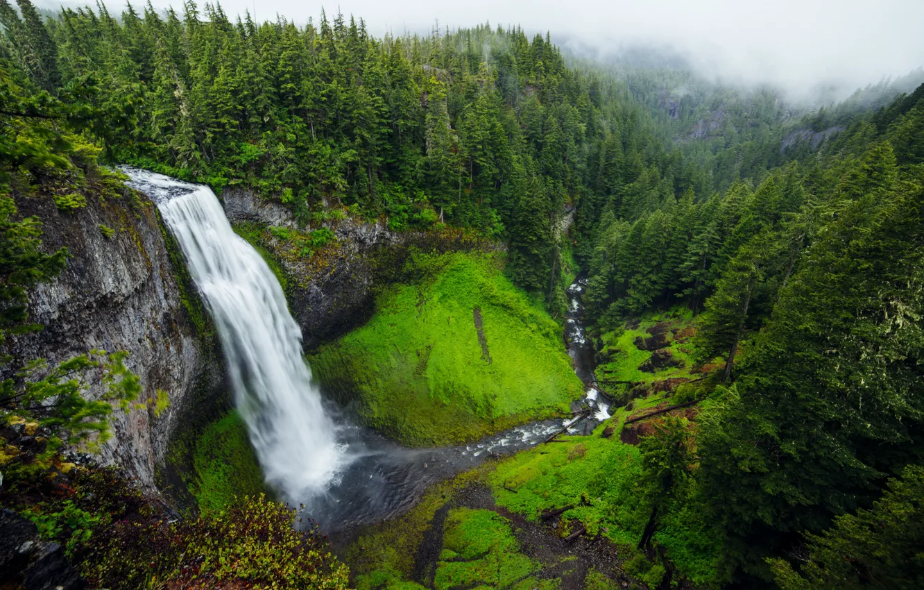 Фото обои водопад, United States, Andrew Coelho, Salt Creek Falls