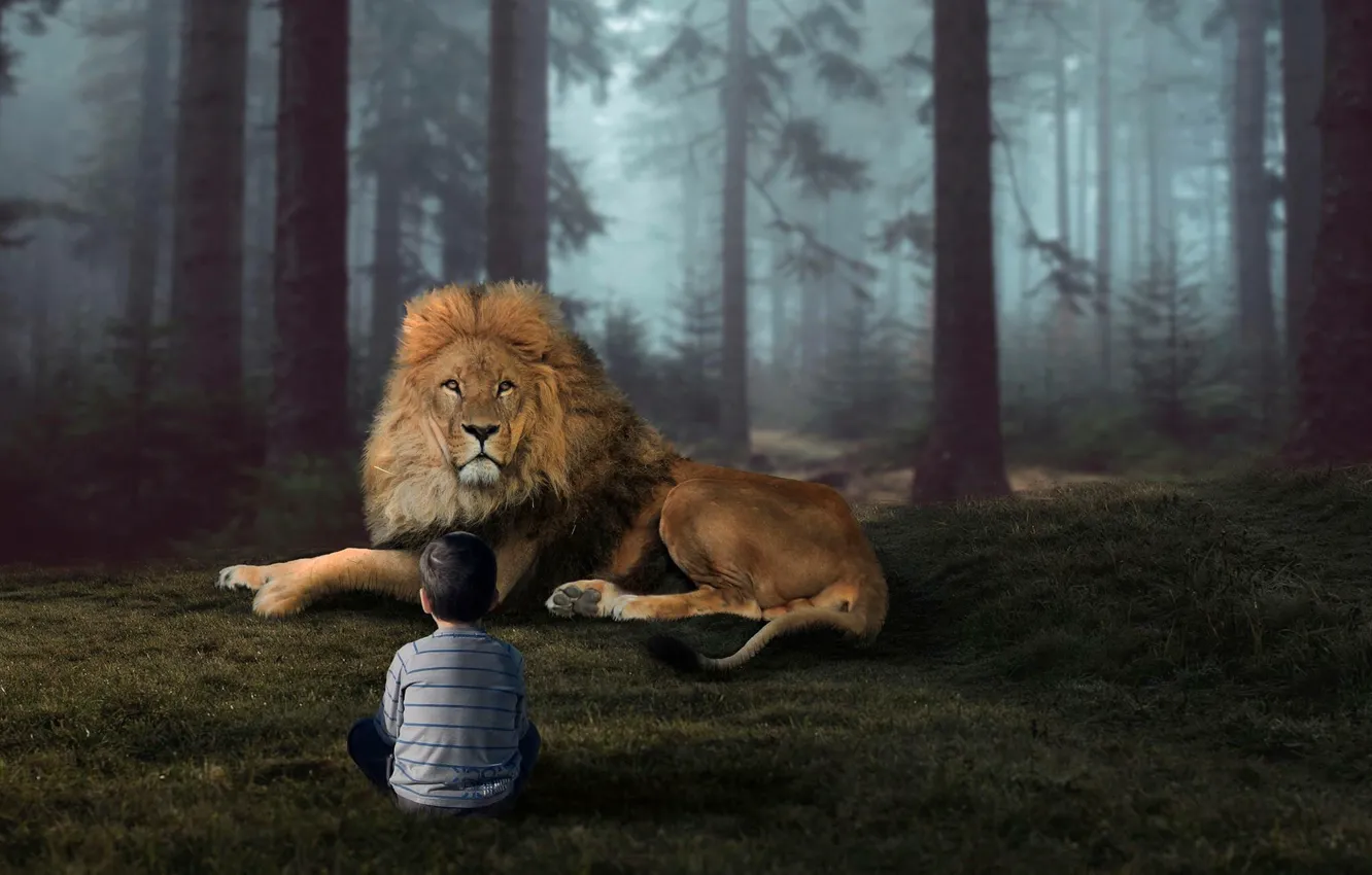 Фото обои природа, лев, мальчик