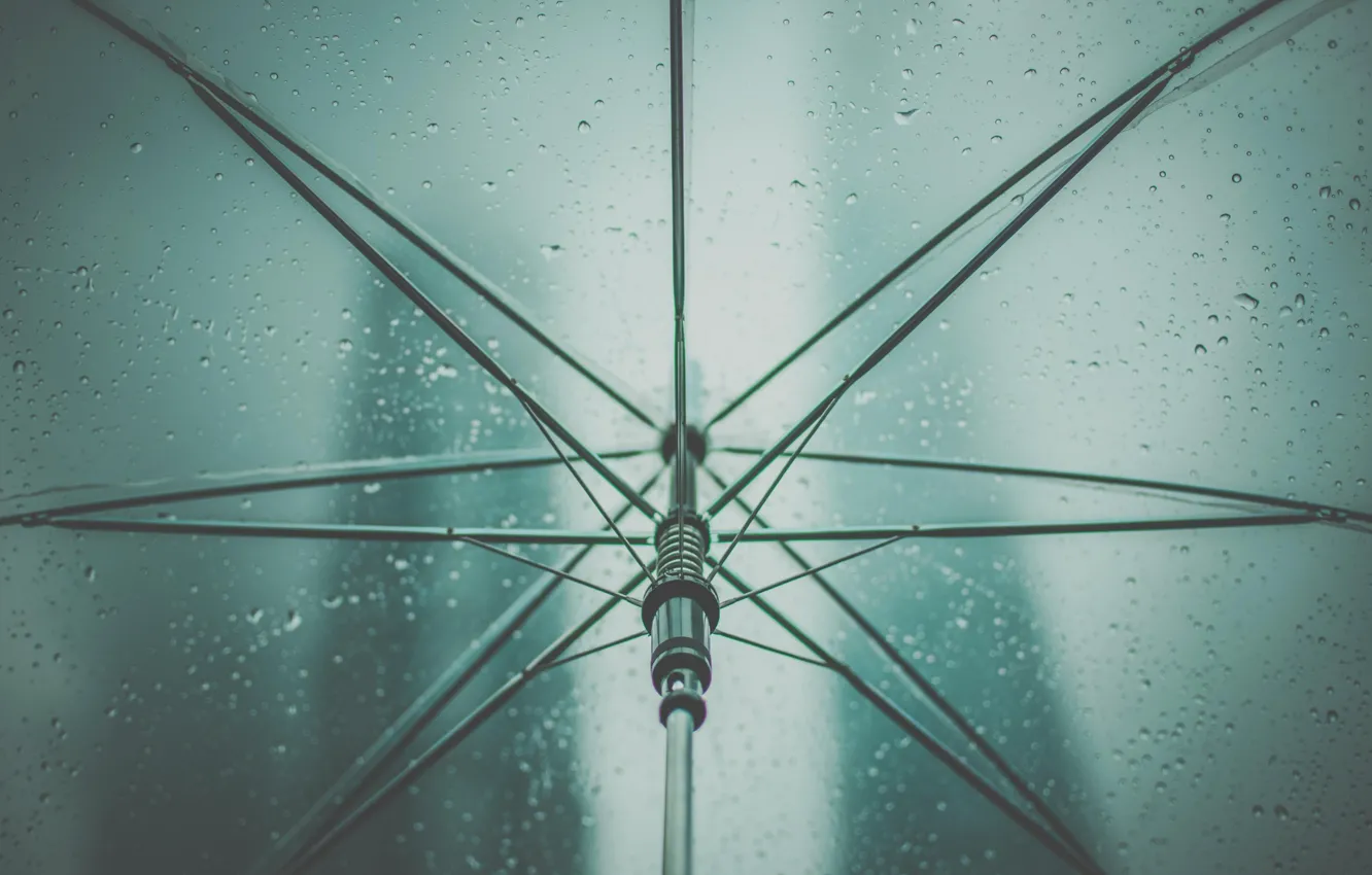 Фото обои капли, дождь, зонт