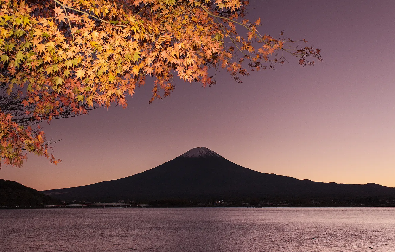 Фото обои осень, небо, листья, мост, озеро, гора, ветка, Япония