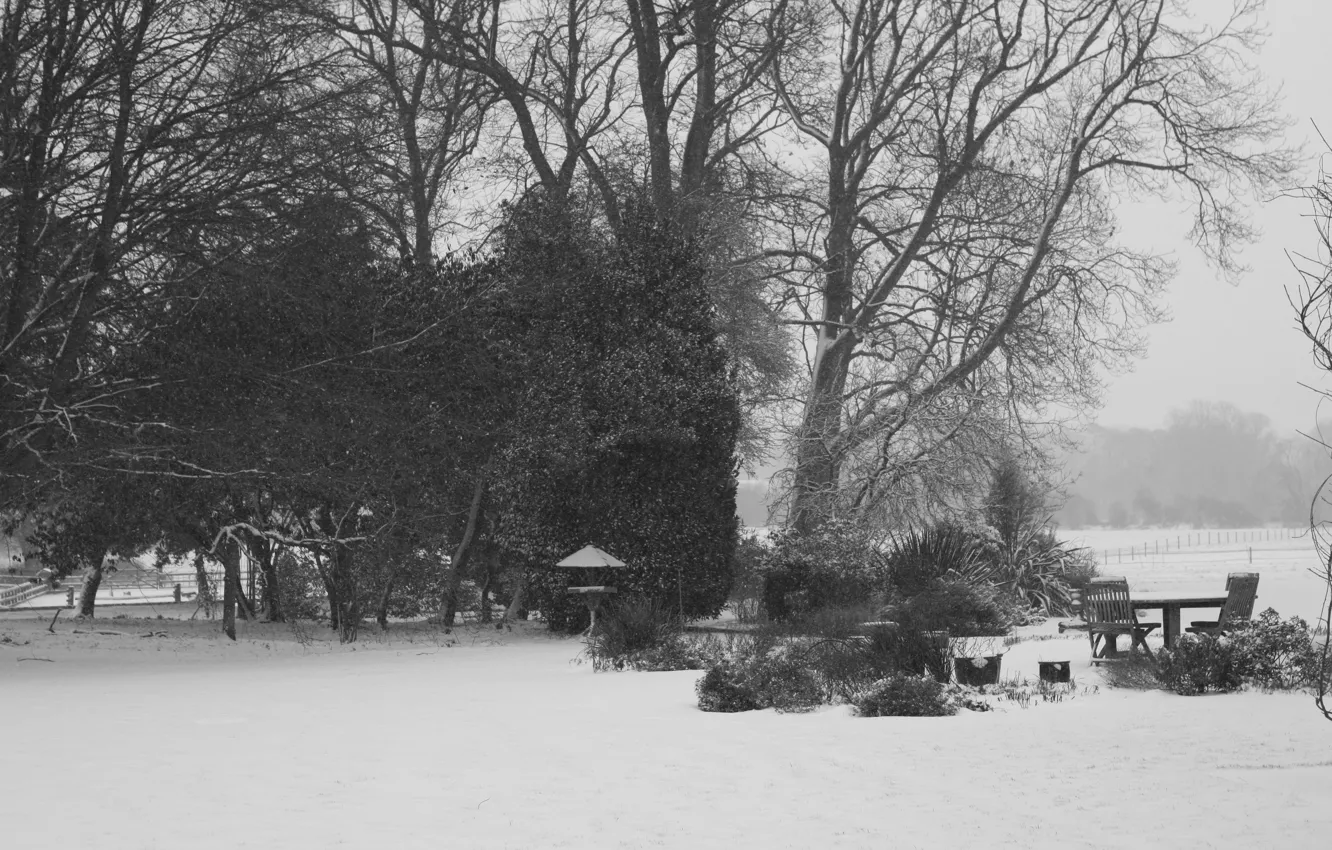 Фото обои зима, снег, деревья, стол, стулья, красота, площадка, Winter blanket