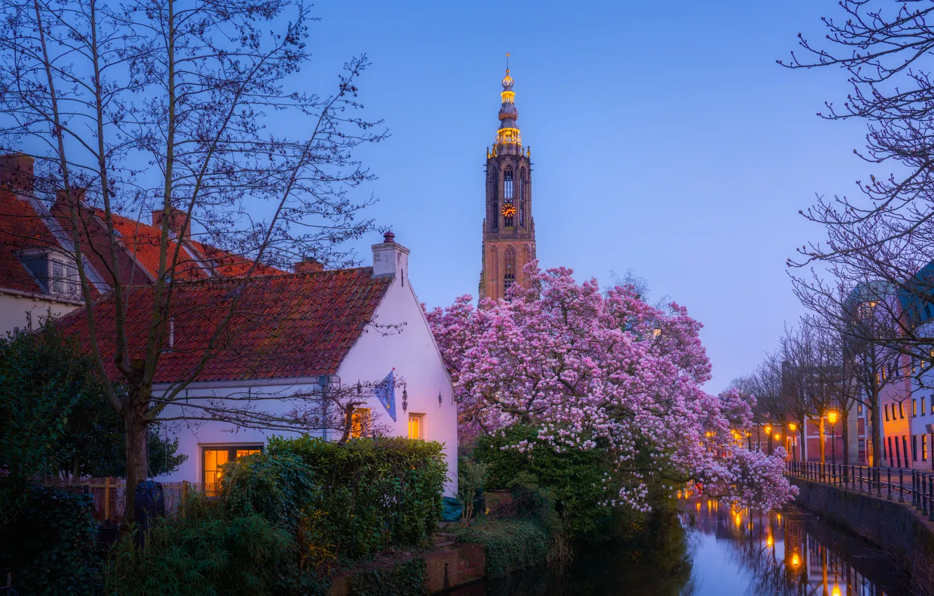 Фото обои деревья, река, башня, дома, канал, Нидерланды, Netherlands, Амерсфорт