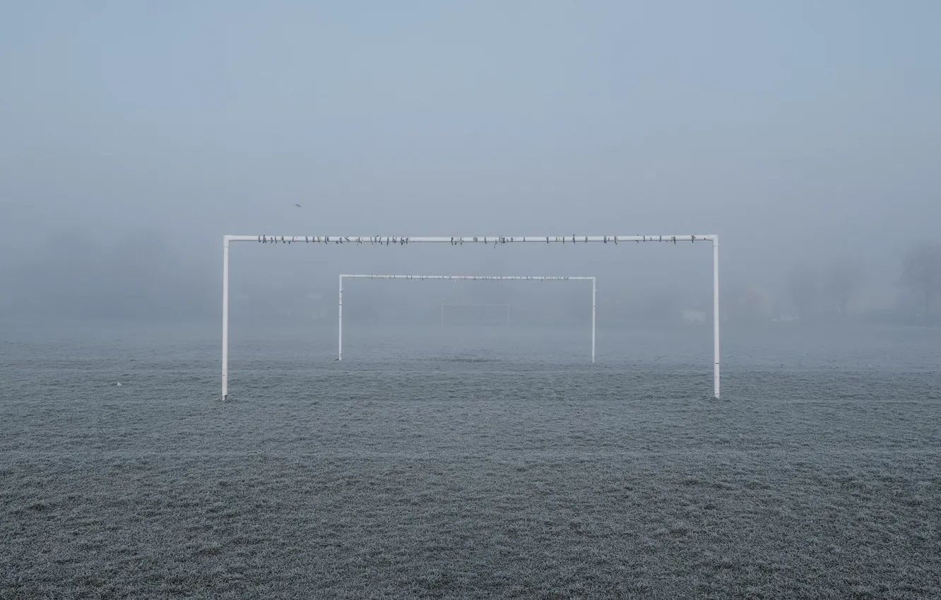 Фото обои поле, туман, футбол, ворота