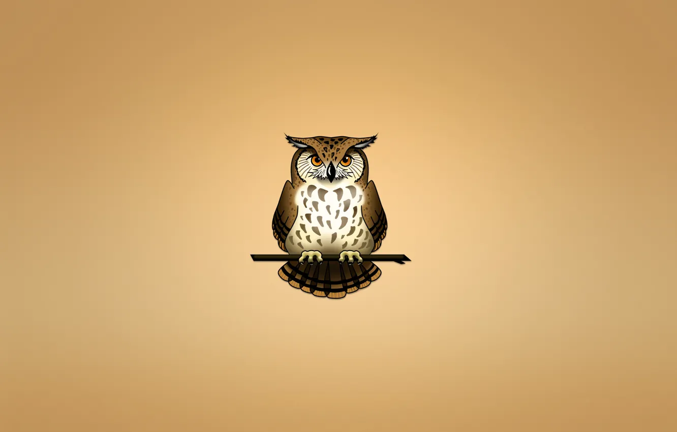 Фото обои сова, птица, ветка, светлый фон, owl
