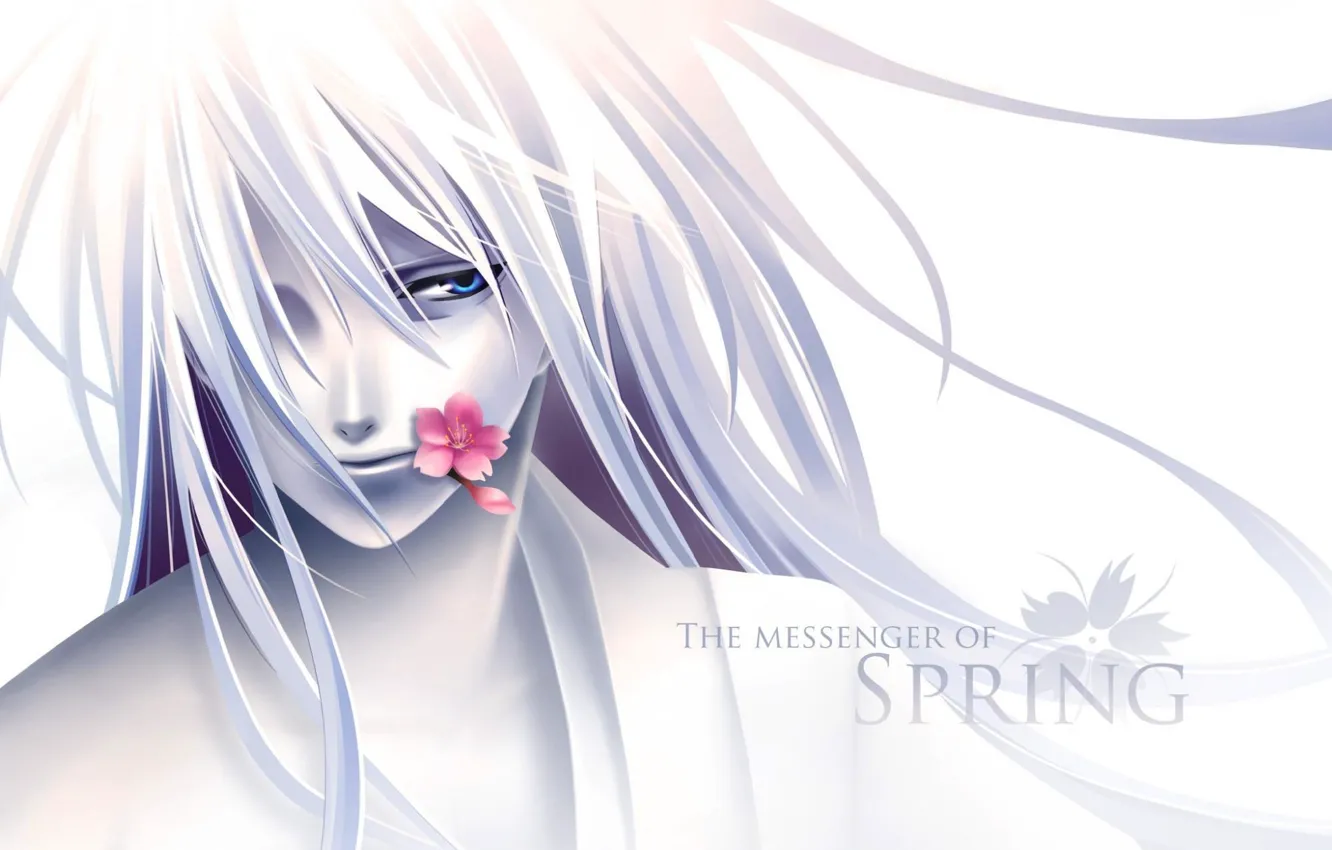 Фото обои цветок, аниме, парень, the messenger of spring