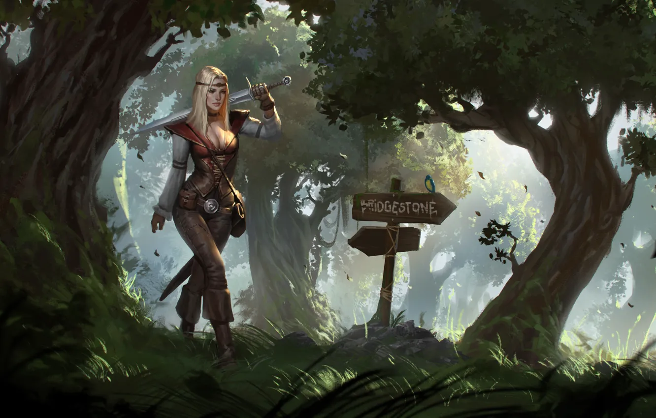 Фото обои лес, девушка, деревья, оружие, стрелки, меч, арт, указатели