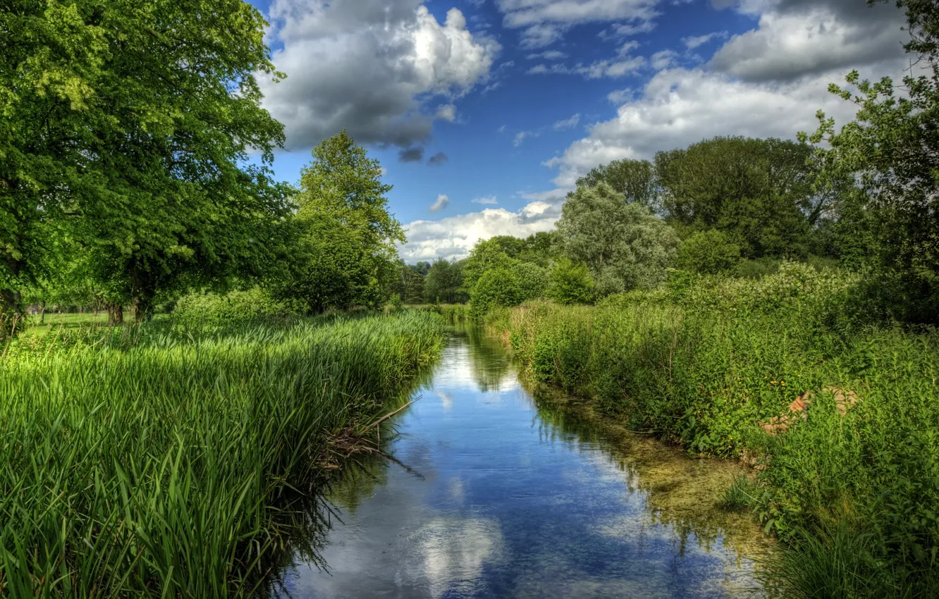 Фото обои трава, природа, река, фото, Англия, Winchester, Itchen