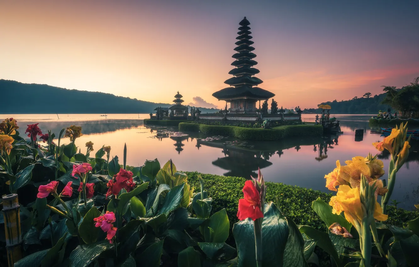 Фото обои вода, цветы, Бали, храм, канна