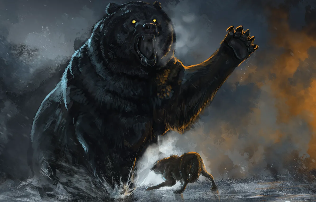 Фото обои Бой, Медведь, Волк
