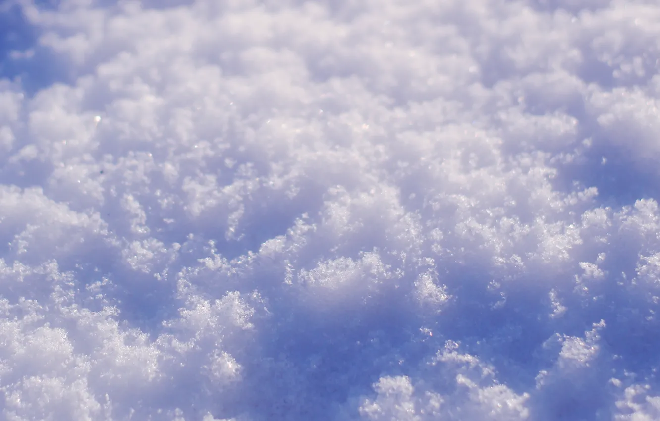 Фото обои white, winter, snow, cold
