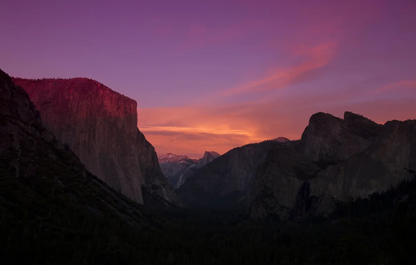 Фото обои лес, деревья, рассвет, долина, Калифорния, California, Национальный парк Йосемити, Yosemite National Park