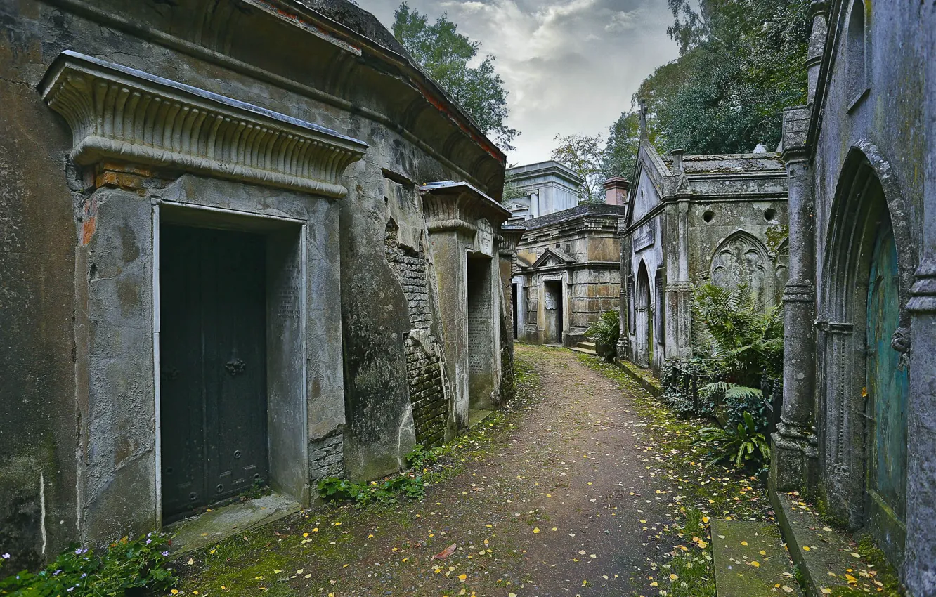 Фото обои кладбище, архитектура, тропинка, London, England, Highgate Cemetery
