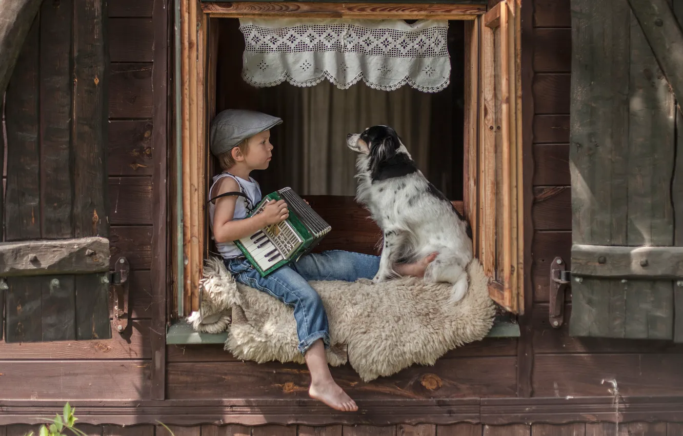 Фото обои собака, мальчик, окно, шкура, кепка, друзья, аккордеон
