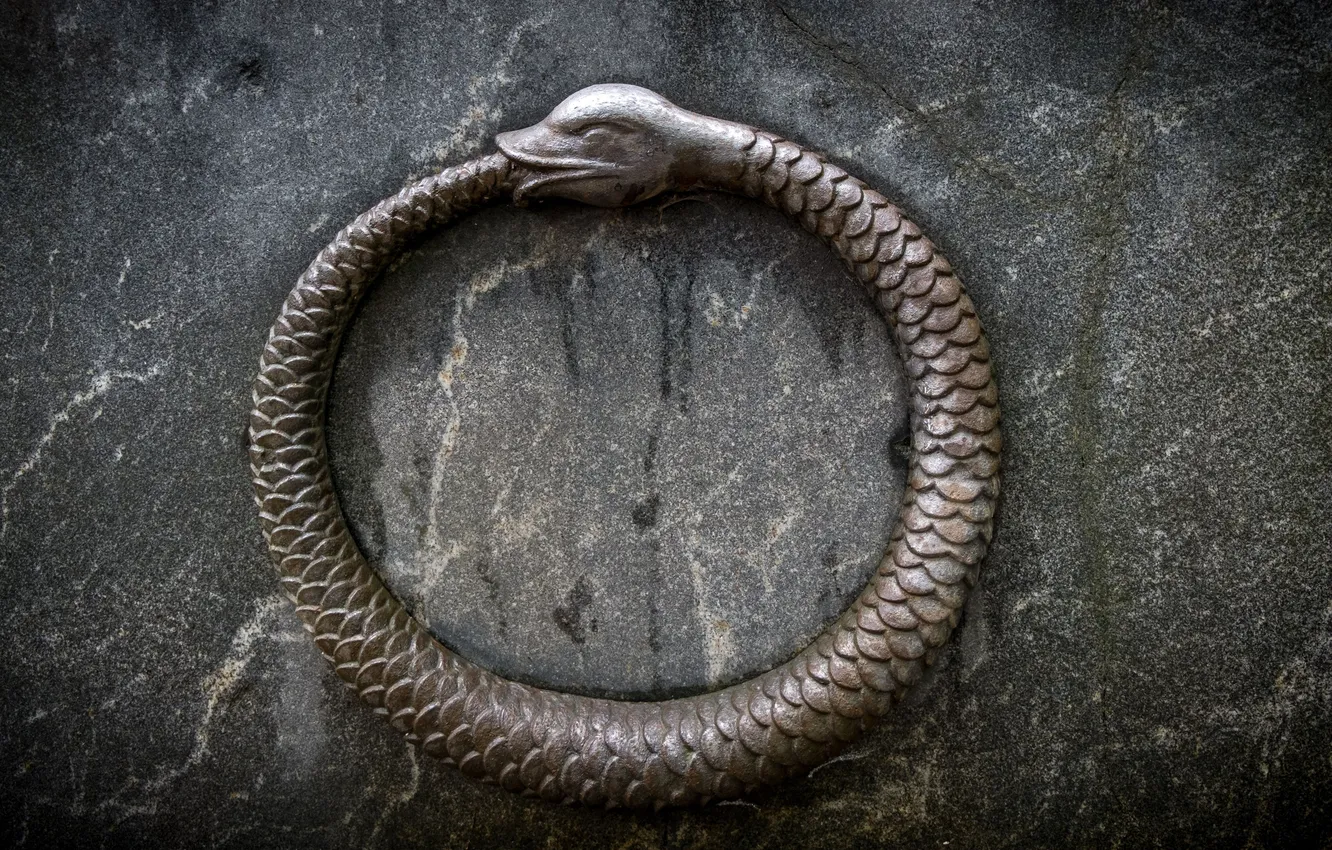 Фото обои snake, texture, sign, tail, symbol, serpent, hermeticism, alchemical