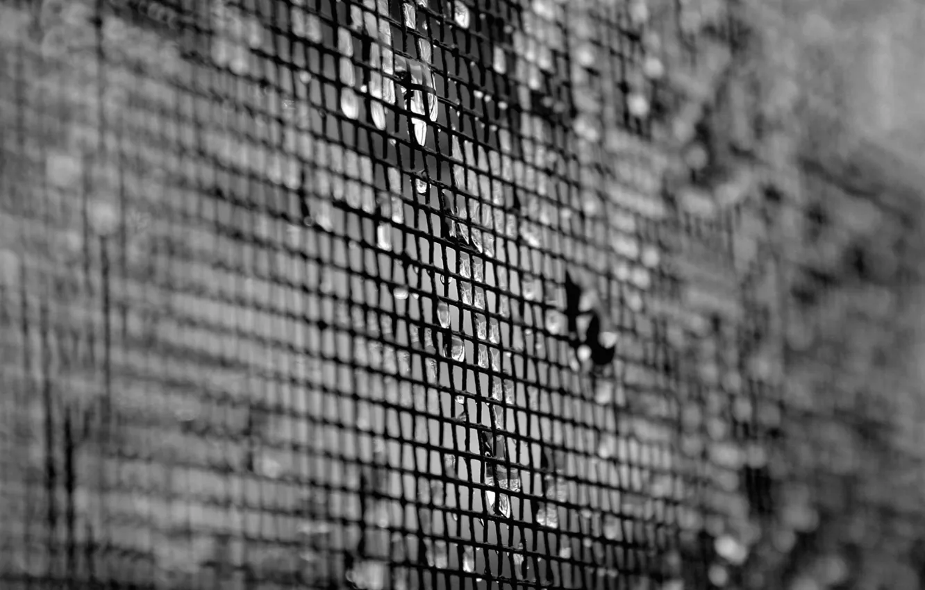 Фото обои капли, сетка, белое, текстура, размытость, черное, texture, 1920x1200