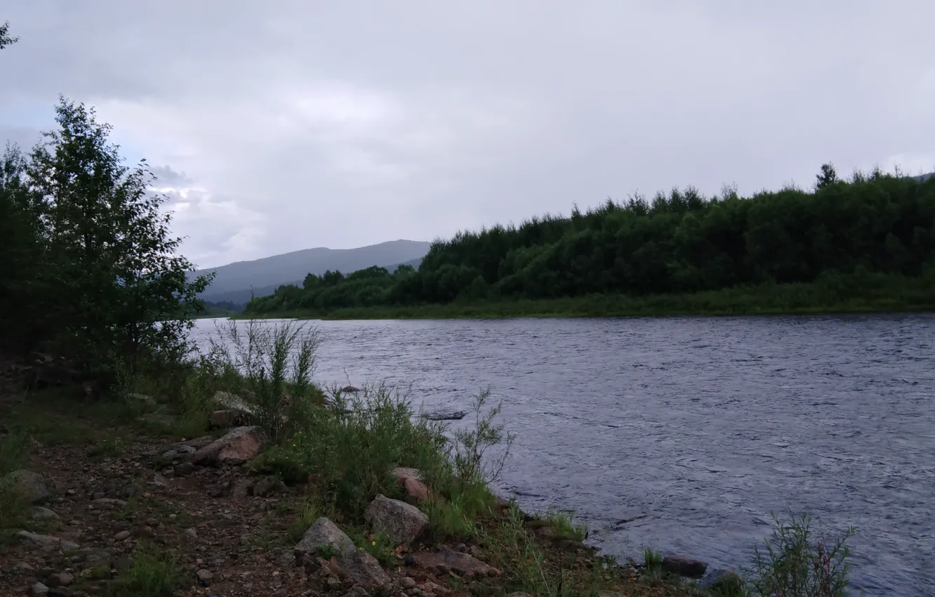 Фото обои лес, горы, дождь, Река Ингода