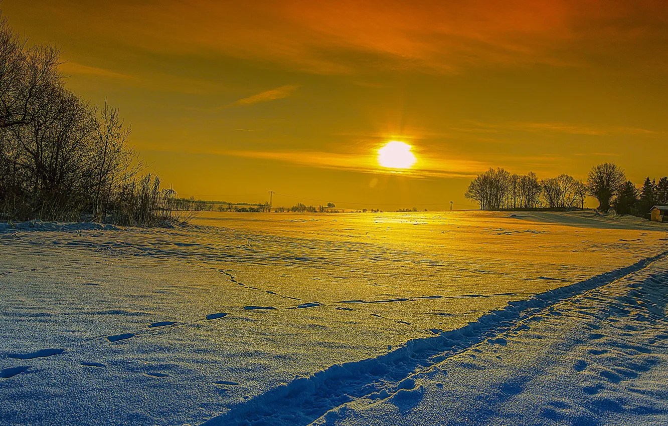 Фото обои landscape, sunset, winter, snow