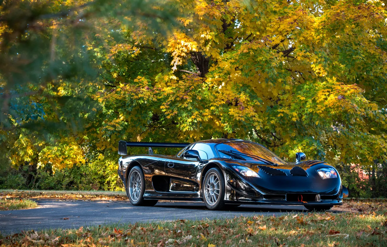 Фото обои black, autumn, mosler, mt900s