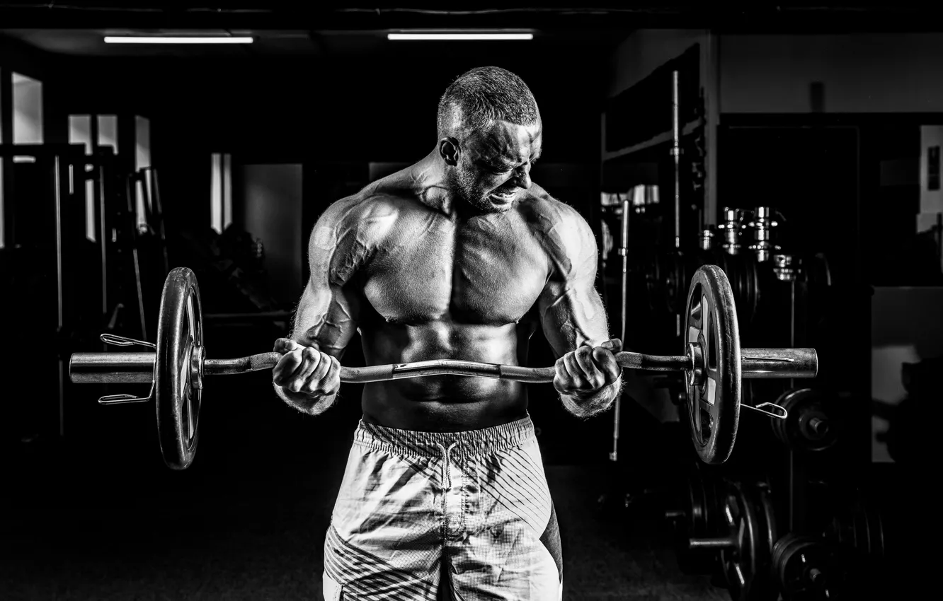 Фото обои поза, muscle, мышцы, штанга, атлет, бицепс, gym, бодибилдер